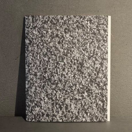 JACOB KIRKEGAARD  /  SABULATION