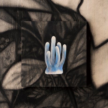 佐藤直樹：Painting P