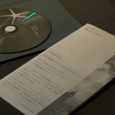 星形の庭 / 距離を含んだ色彩について