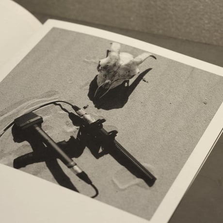 JACOB KIRKEGAARD  /  SABULATION
