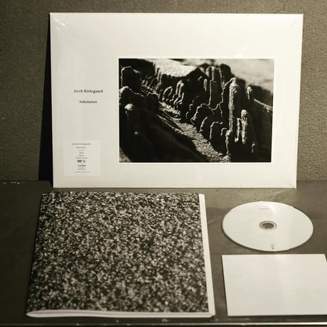 JACOB KIRKEGAARD  /  SABULATION