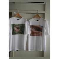 ゴン太Tシャツ