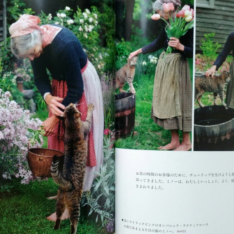 ターシャの庭 Tasha's Artistic Garden / ターシャ・テューダー 【古本 ターシャの庭 Tasha's Artistic Garden / ターシャ・テューダー 【古本