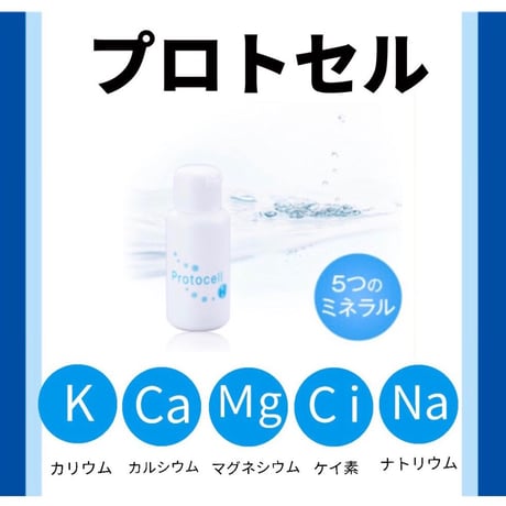 プロトセル/漢和アロマセンター