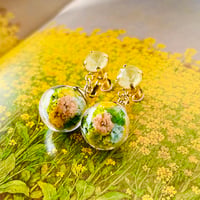 「Art by colors」collection ピアス／イヤリング(髙島野十郎)