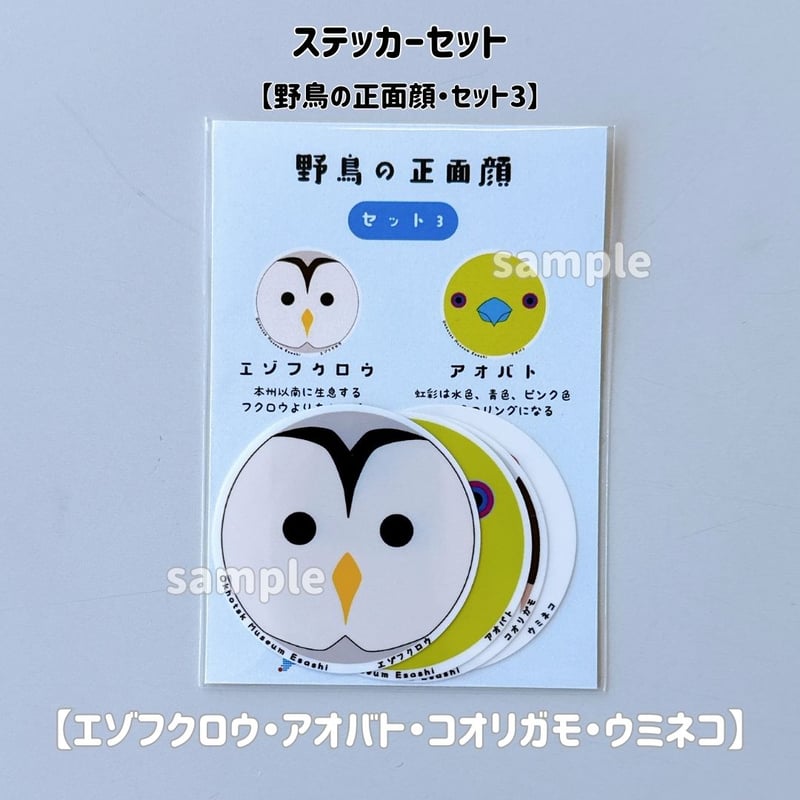 オホーツクミュージアムえさし】ステッカーセット〔野鳥の正面顔