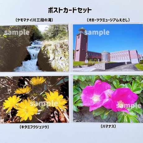 【オホーツクミュージアムえさし】ポストカードセット