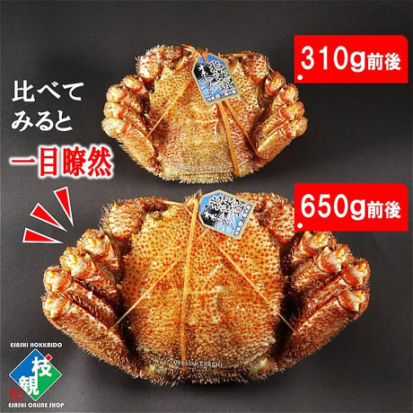 枝幸毛がに（大）490ｇ前後【冷凍】