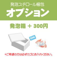 【オプション】発泡スチロール梱包+350円