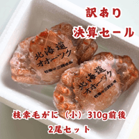 オホーツクミュージアムえさし】缶バッジセット〔デスモ4種〕 | 枝幸