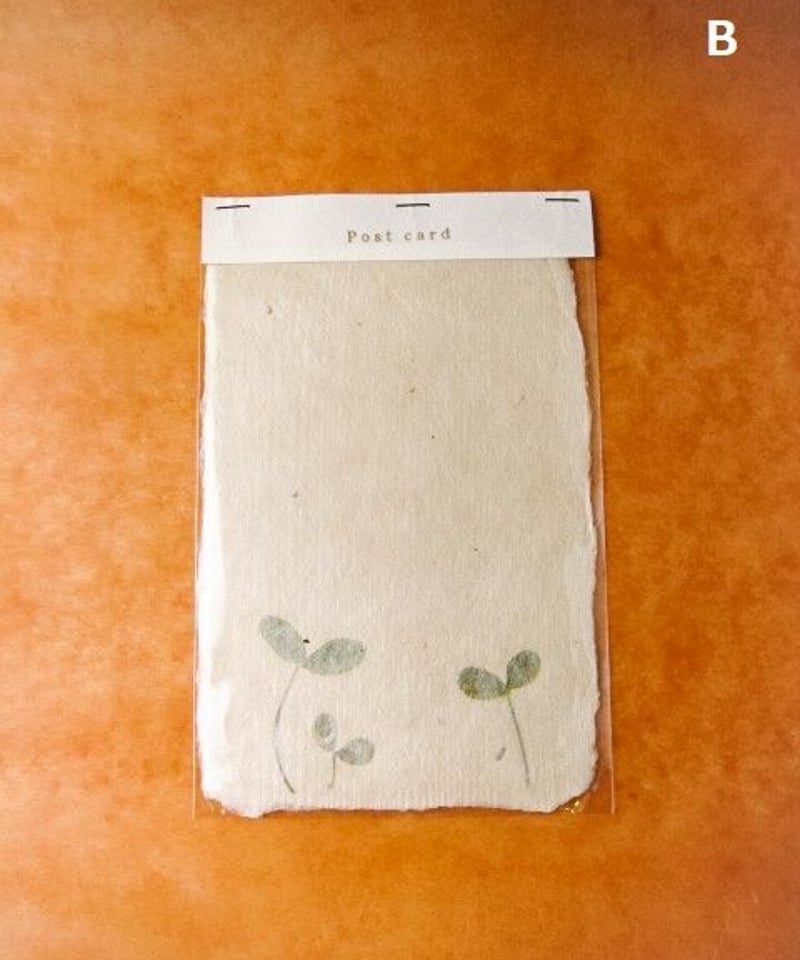 使用品 1909年 希少レア フリーメーソン 手紙 ポストカード 都市伝説 使用品 1909年 希少レア フリーメーソン 手紙 ポストカード 都市伝説