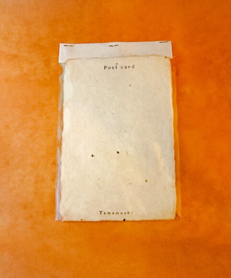 SALE⏬Larry LaBonte 写真8種＋時計＋ポストカード⬛︎直筆手紙付 手漉き和紙のイケメン鹿ポストカード | うつわ と ざっか 器人器人