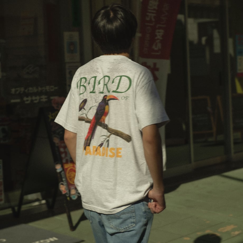 650a6332a67f030048b2556c