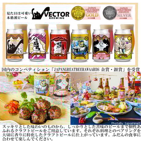 バラエティセット 缶ビール6種  VECTORBREWING ベクターブルーイング