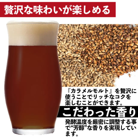 単品【3本セット】ベクターペールエール