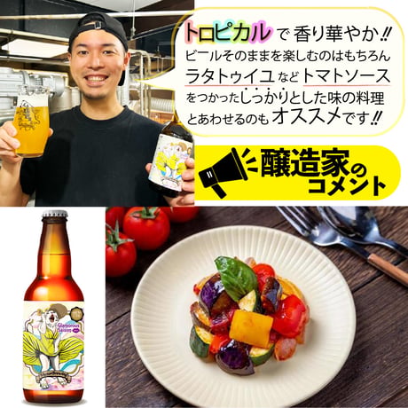 季節限定ビール【3本セット】グラマラスセゾン/ベクターブルーイング~VECTORBREWING~