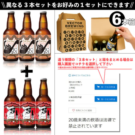 単品【3本セット】ベクターペールエール