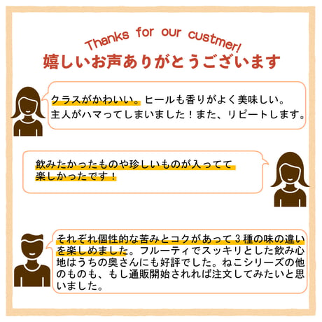 グレフルパンチ ねこぱんち しろねこぱんち　選べるグラスセット ビール3種6本 ベクターブルーイング VECTORBREWING