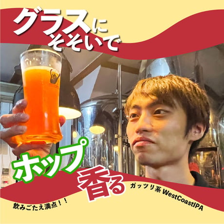 BackToTheClassic【3本セット】ベクターブルーイング~VECTORBREWING~