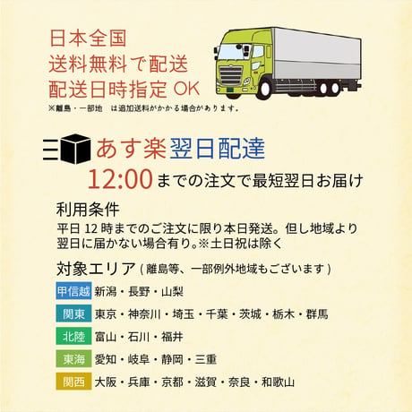 季節限定ビール【3本セット】春ねこぱんち/ベクターブルーイング~VECTORBREWING~