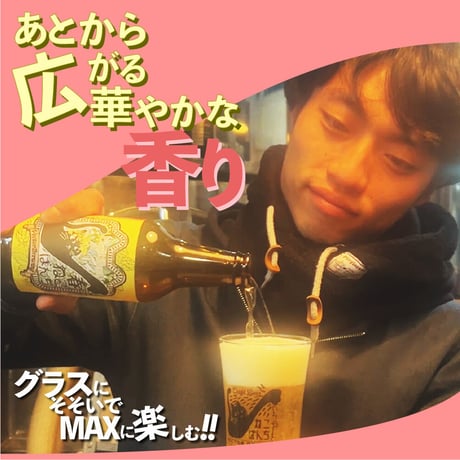 季節限定ビール【3本セット】春ねこぱんち/ベクターブルーイング~VECTORBREWING~