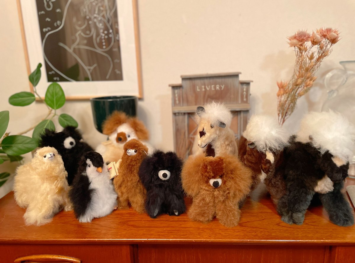 UK COZY ペンギン リアルアルパカファー | THE M.B