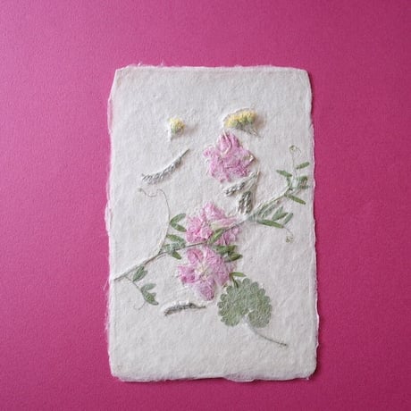 ののわし／Nonowashi「草花はがき」