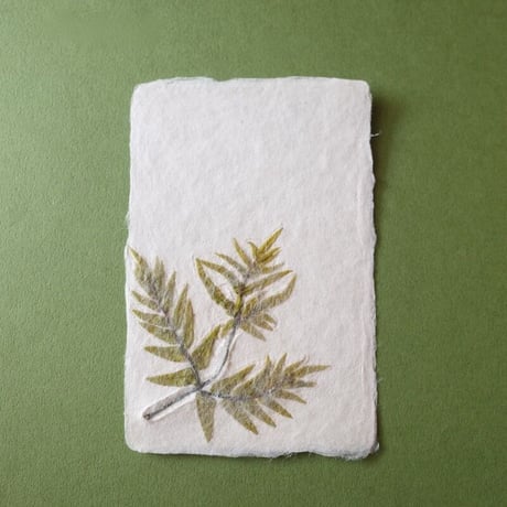 ののわし／Nonowashi「ワンポイント桜貝／草花はがき」