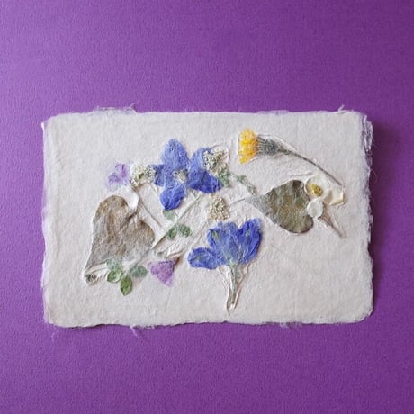ののわし／Nonowashi「草花はがき」