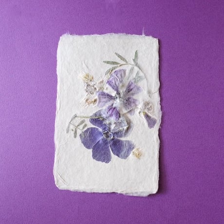 ののわし／Nonowashi「草花はがき」