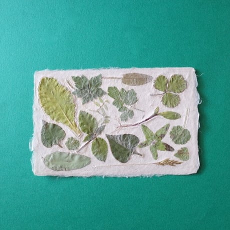 ののわし／Nonowashi「葉っぱはがき」
