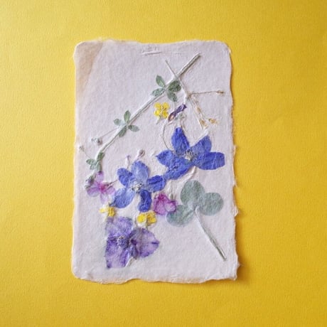 ののわし／Nonowashi「草花はがき」
