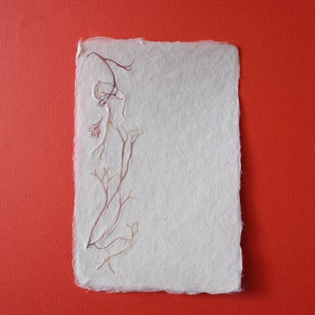 ののわし／Nonowashi「ワンポイント海藻はがき」