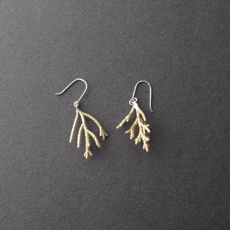 今城晶子／IMAJO Akiko「PLANTSピアス／イヤリング」