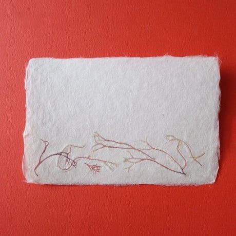 ののわし／Nonowashi「ワンポイント海藻はがき」