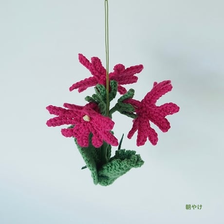 ChomoChomo「Alpine 花あみキット ハクサンコザクラ」