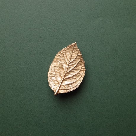 今城晶子／IMAJO Akiko「PLANTSブローチ各種」