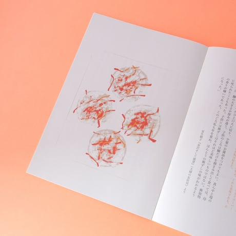 龜鳴屋／Kamenakuya『をみなごのための室生家の料理集』