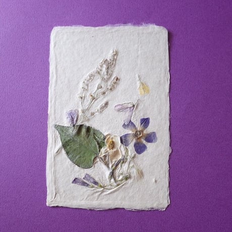 ののわし／Nonowashi「草花はがき」
