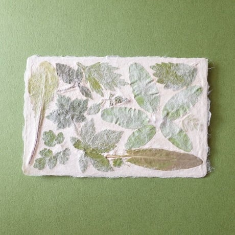 ののわし／Nonowashi「葉っぱはがき」