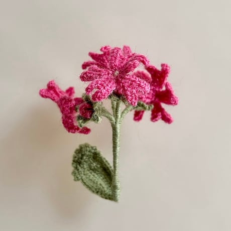 ChomoChomo「Alpine 花あみキット ハクサンコザクラ」