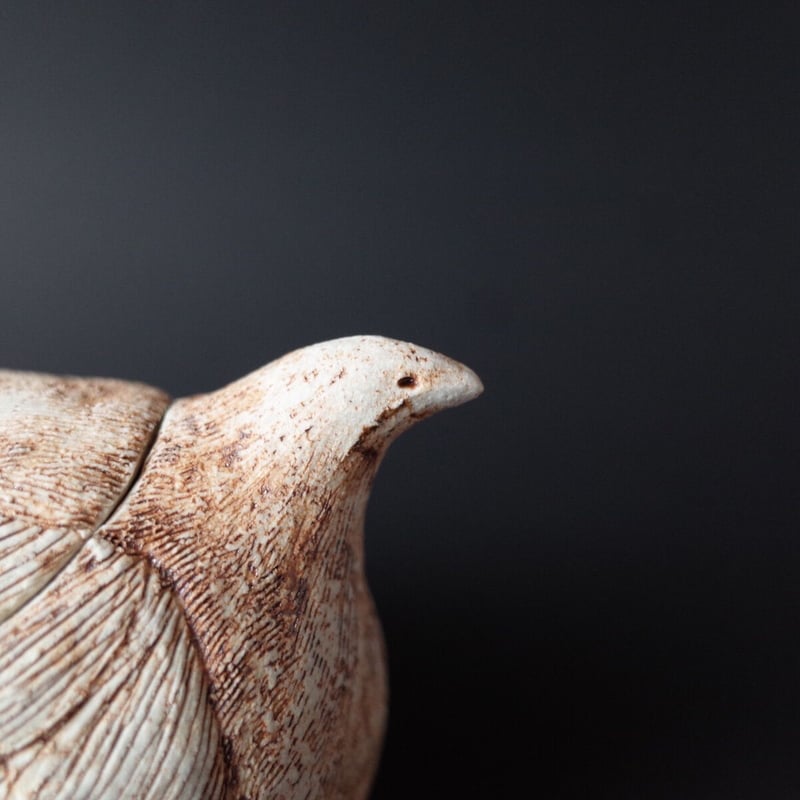 中嶋寿子／NAKAJIMA Toshiko「トリ 宝物入れ 中」 | オトメの