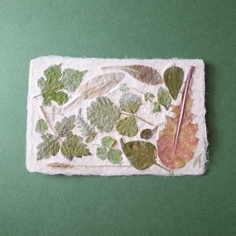 ののわし／Nonowashi「葉っぱはがき」