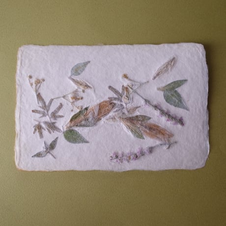 ののわし／Nonowashi「草花はがき」