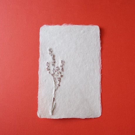 ののわし／Nonowashi「ワンポイント桜貝／草花はがき」
