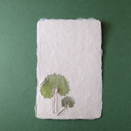 ののわし／Nonowashi「ワンポイント桜貝／草花はがき」