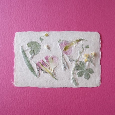 ののわし／Nonowashi「草花はがき」