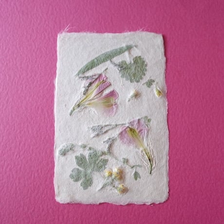 ののわし／Nonowashi「草花はがき」