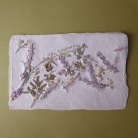 ののわし／Nonowashi「草花はがき」