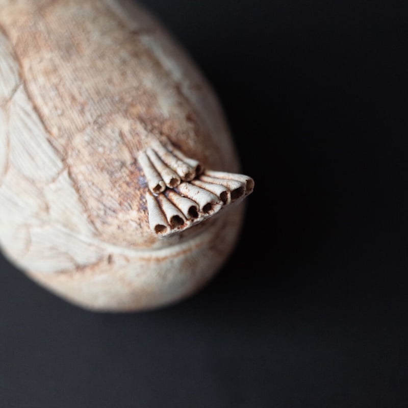 中嶋寿子／NAKAJIMA Toshiko「トリ 宝物入れ 中」 | オトメの